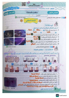 علوم_حل_تقييمات_من_الاول_للتاسع_٢_ع_ت_ت_٢٠٢٦.pdf